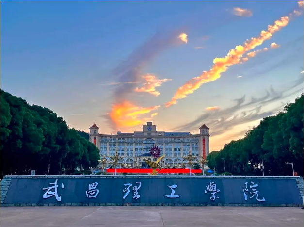 省委直属机关工委常务副书记陈正祥盛赞武昌理工学院(图4)